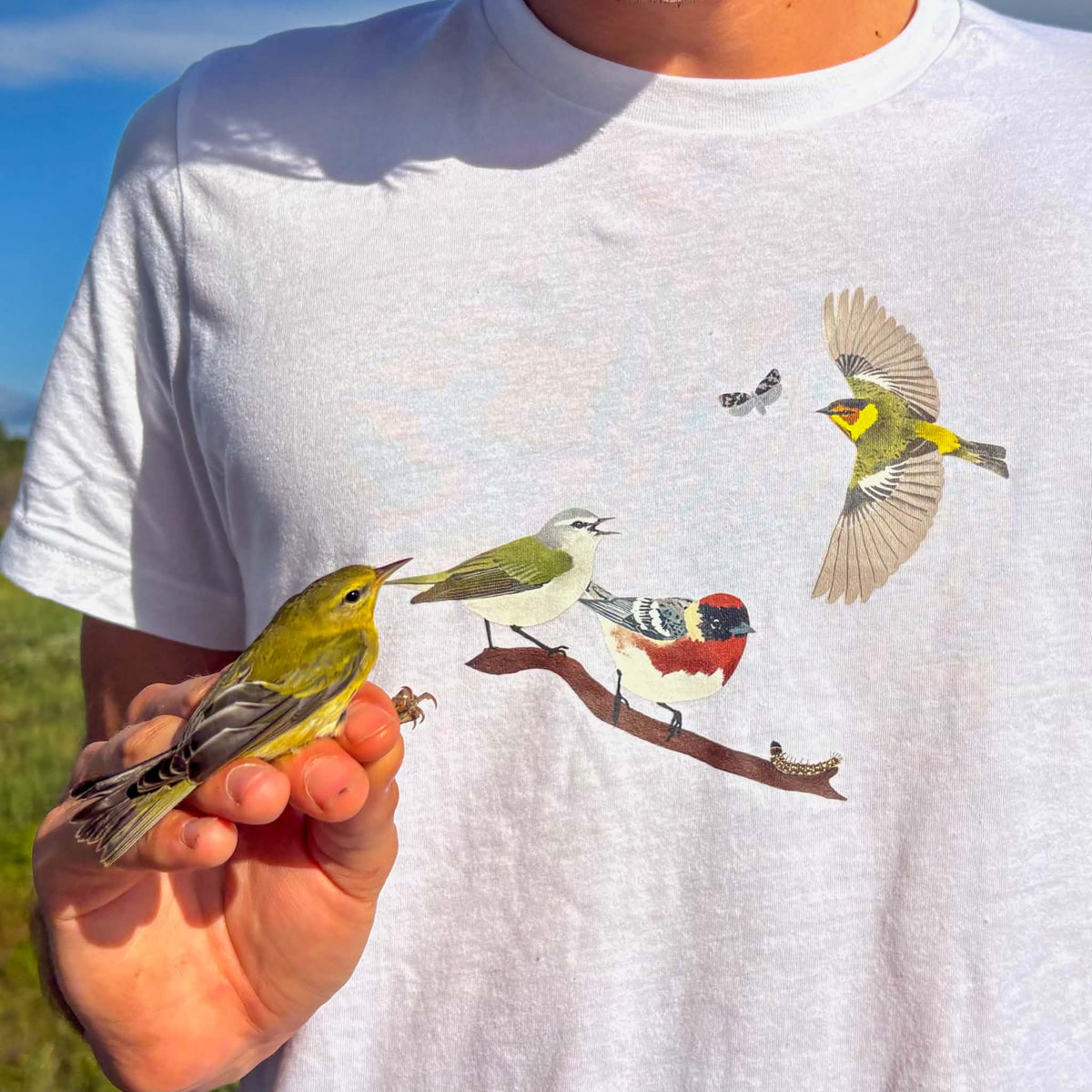 T-shirt unisexe | Parulines de tordeuses
