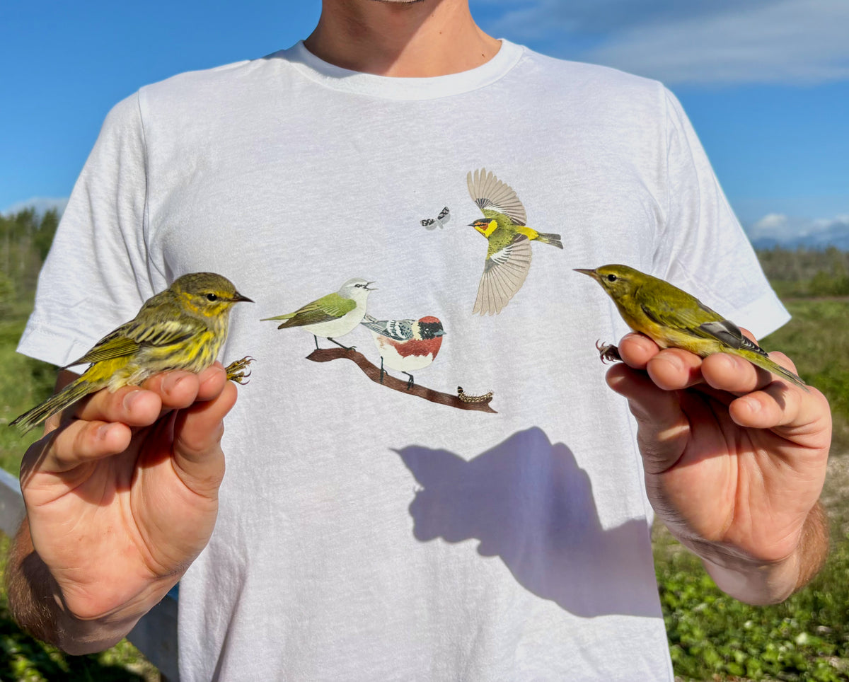 PLUVIALIS